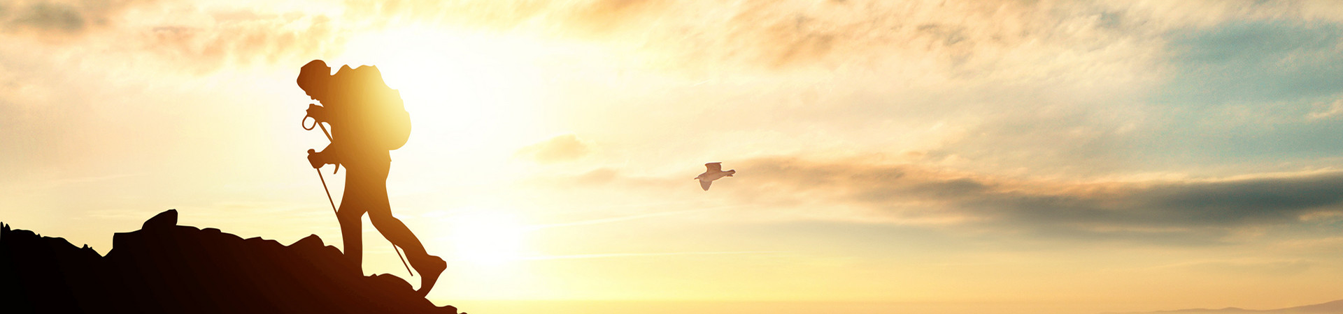 banner banner